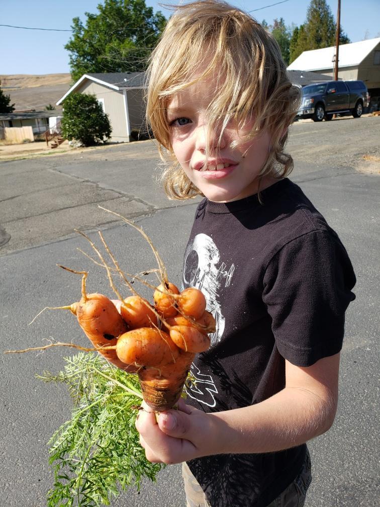 This was a crazy carrot!