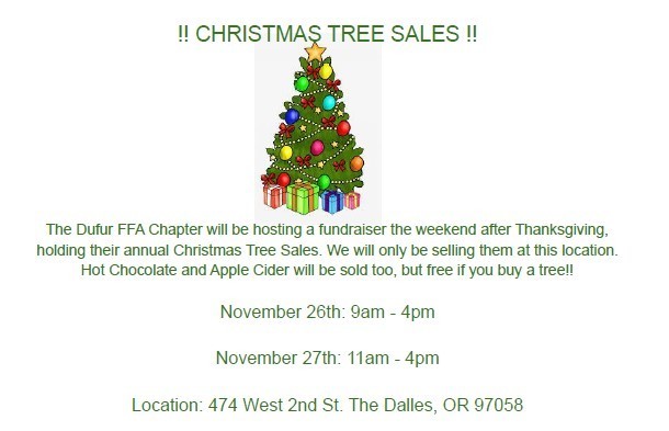 FFA Christmas Tree Sale