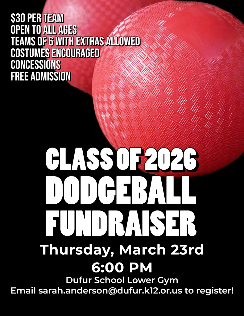 Dodgeball fundraiser