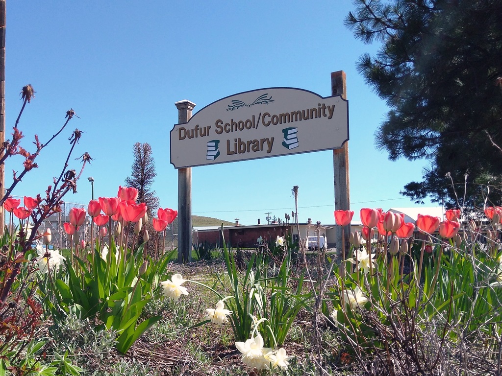 Live Feed DUFUR SCHOOL DISTRICT 29