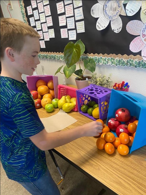 4th grade Fruit Stand